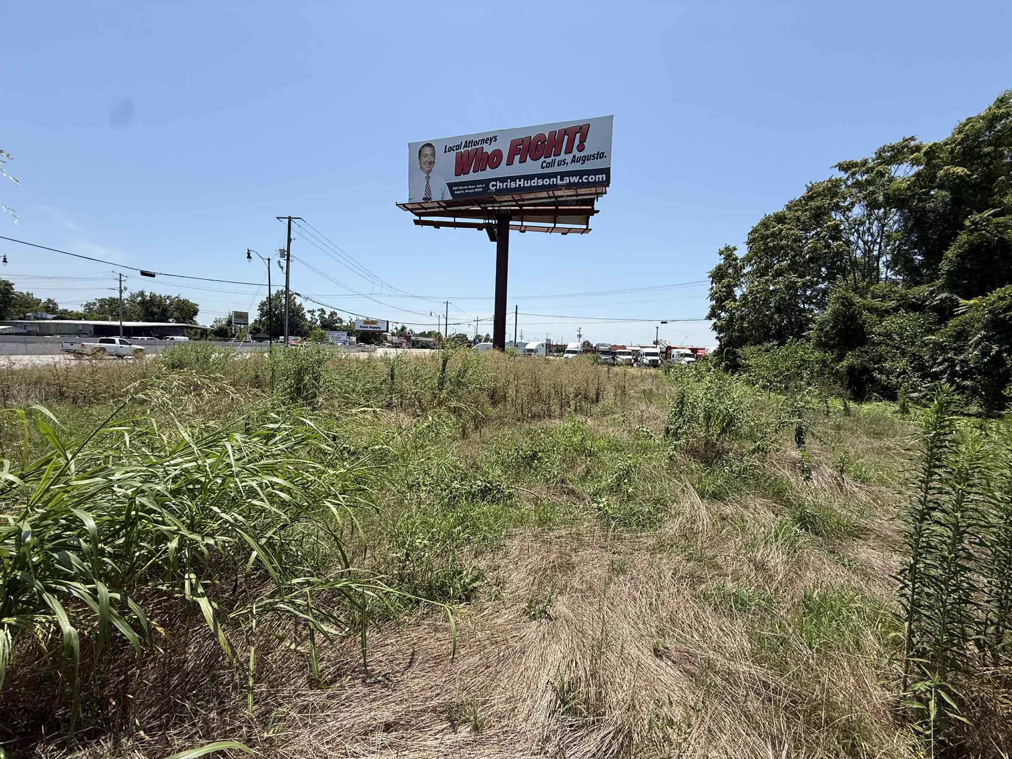 Overgrown lawn before professional lawn care service