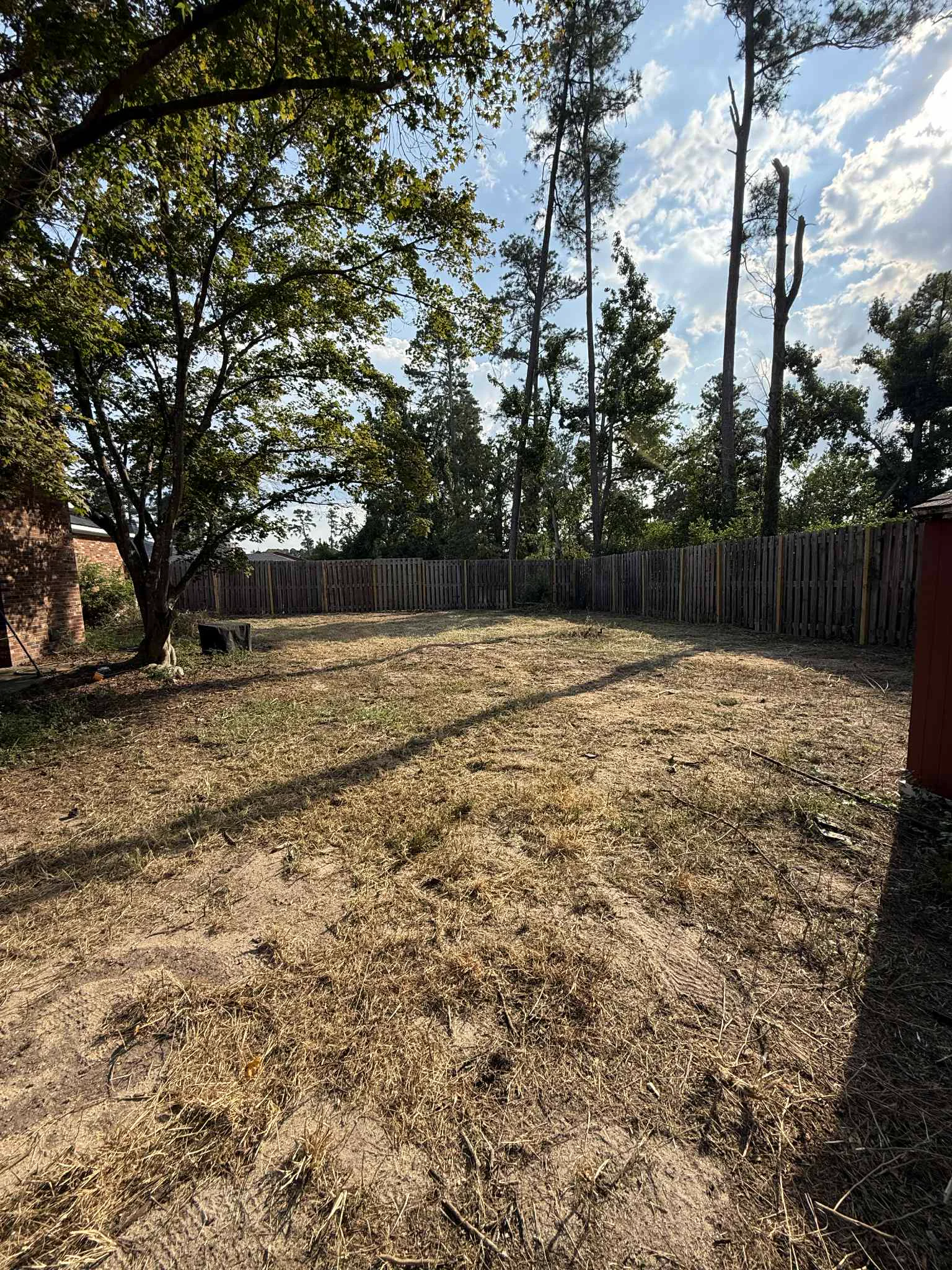 Clean backyard after professional yard cleanup
