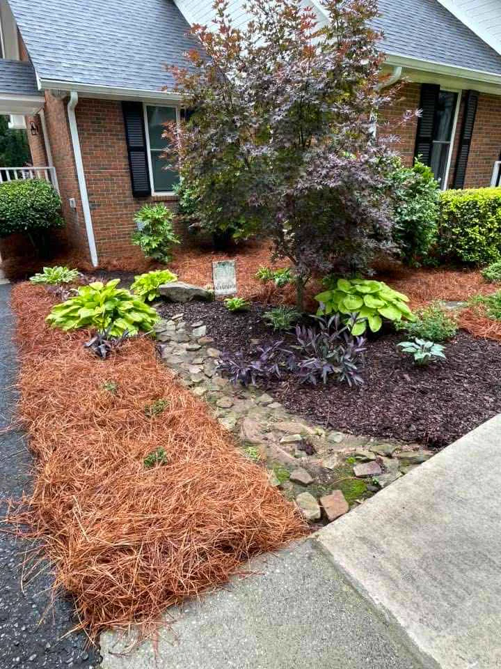 Stunning front yard after lawn care treatment