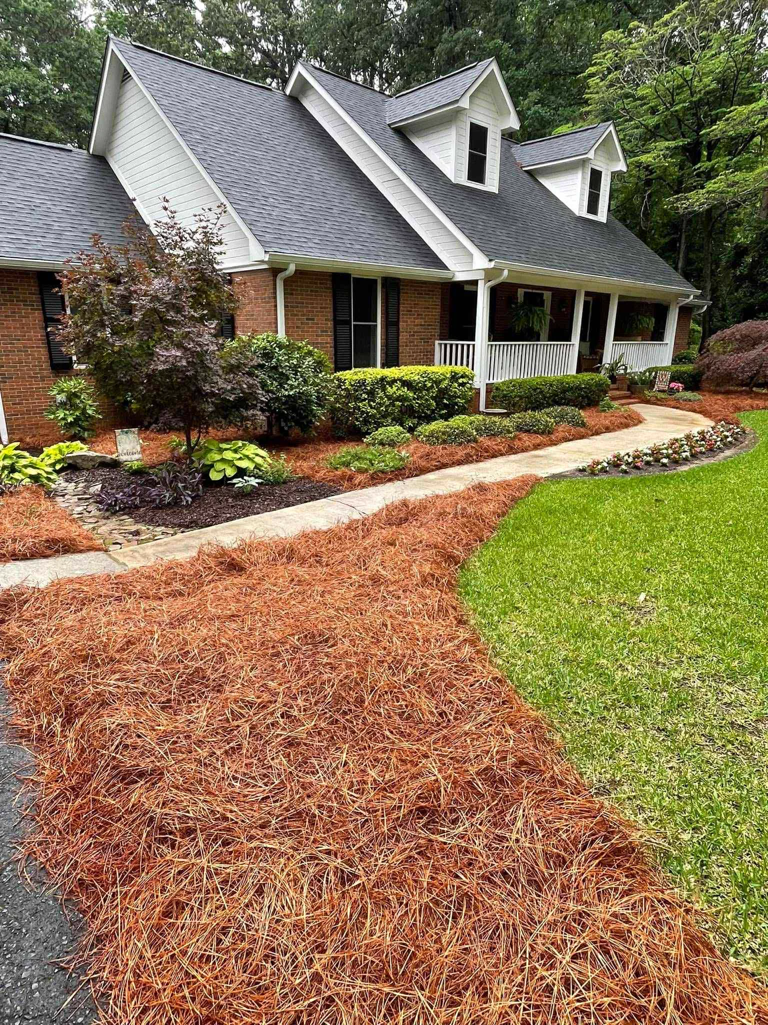 Front yard before lawn care service